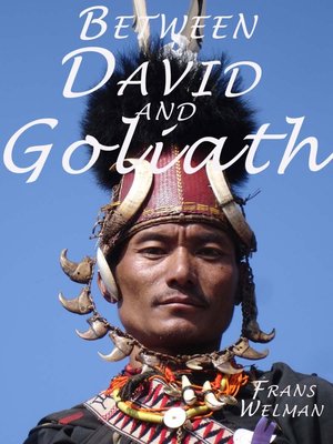 cover image of Between David and Goliath